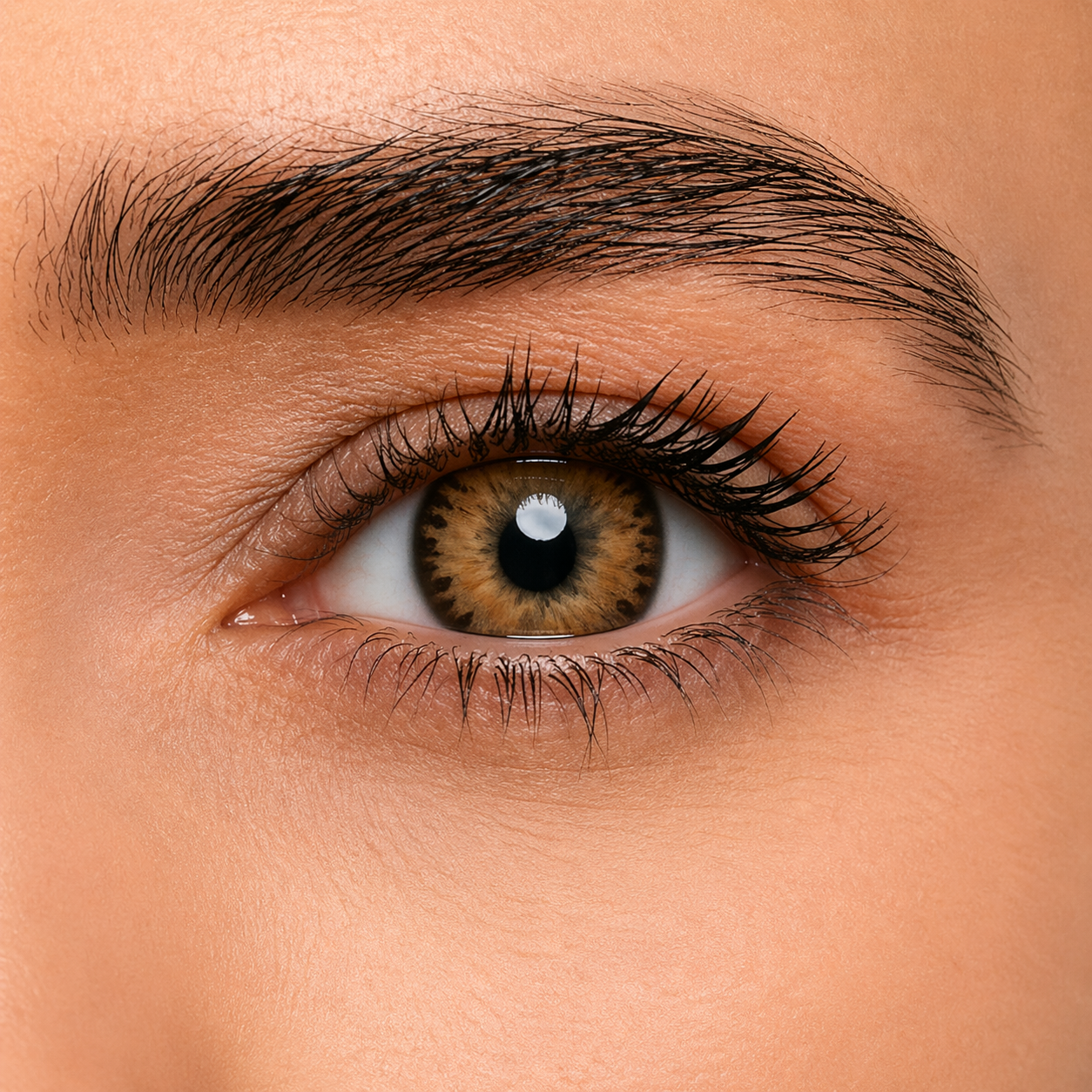 FreshKon Colors Fusion Brilliant Brown colored contact lens