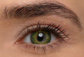 ფერადი კონტაქტური ლინზა FreshKon Colors Fusion Cool Green