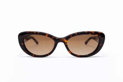 GC Brown Sunglasses